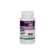 Stangest Cardio II Carnitine 60 CPD