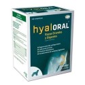 Hyaloral Condroprotector Razas Grandes y Gigantes 120 Comprimidos