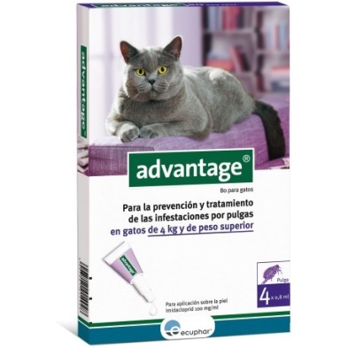 Advantage 80 Pipeta para Gatos de más de 4 Kg