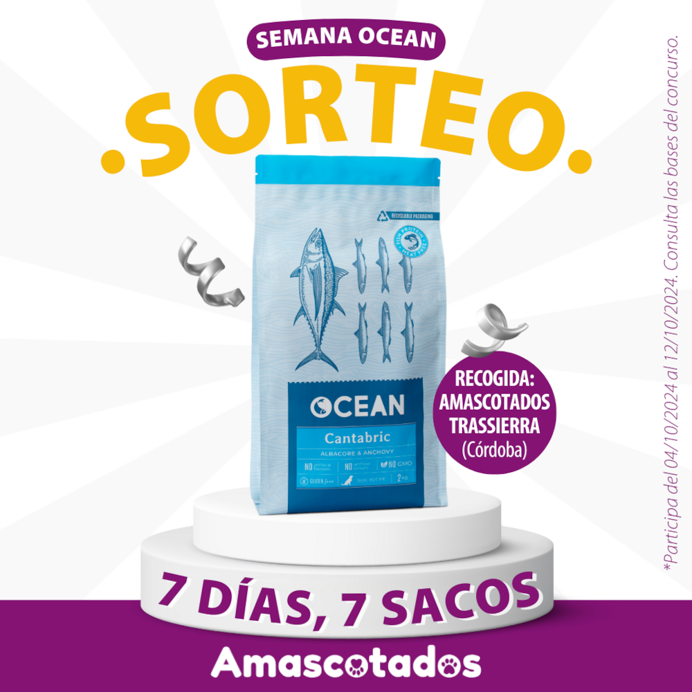 Sorteo semana Ocean 7 días, 7 sacos de regalo. Participa del 4/10/2024 al 12/10/2024. Consulta las bases del concurso debajo.