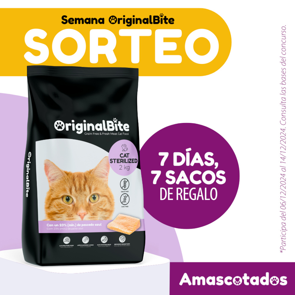 Sorteo semana OriginalBite 7 días, 7 sacos de regalo. Participa del 6/12/2024 al 14/12/2024. Consulta las bases del concurso debajo.