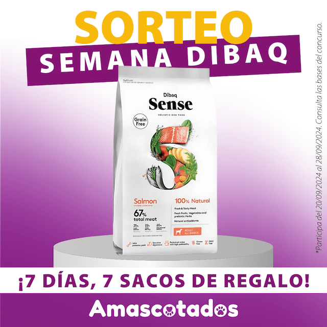 Sorteo semana Dibaq 7 días, 7 sacos de regalo. Participa del 20/09/2024 al 28/09/2024. Consulta las bases del concurso debajo.