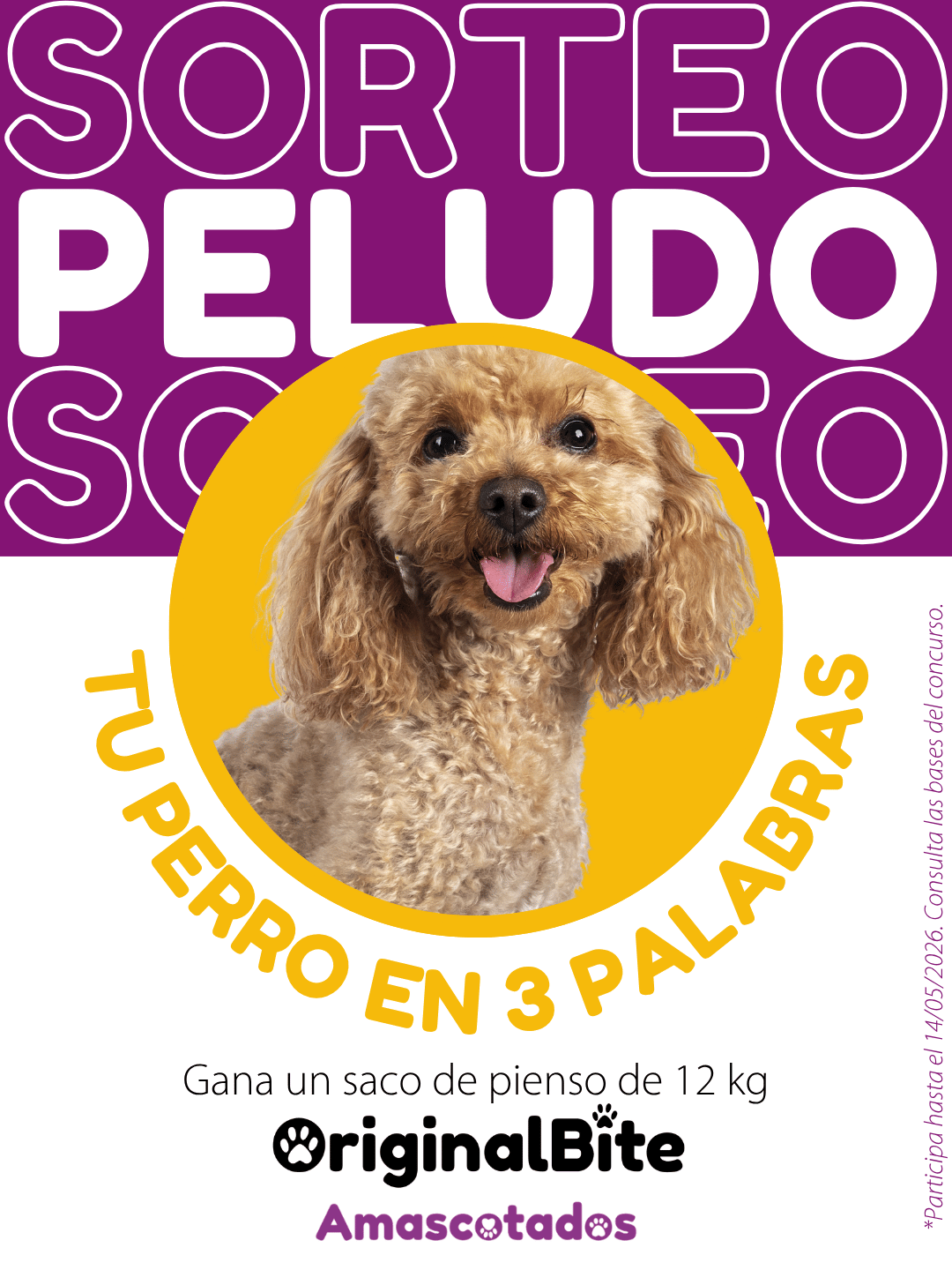 Sorteo Michi - Tu gato en 3 palabras - Gana un saco de pienso de 2 Kg OriginalBite. Participa hasta el 14/05/2026